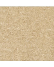 Granite Floor Tile TS2-626